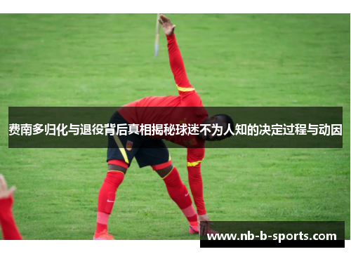 费南多归化与退役背后真相揭秘球迷不为人知的决定过程与动因