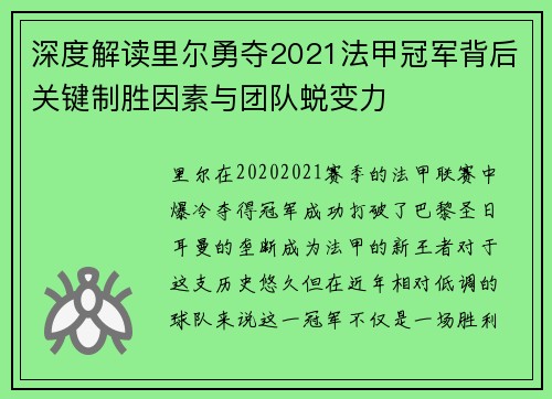 深度解读里尔勇夺2021法甲冠军背后关键制胜因素与团队蜕变力