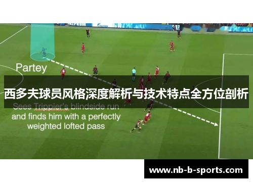 西多夫球员风格深度解析与技术特点全方位剖析