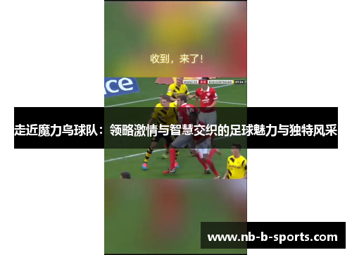 走近魔力鸟球队：领略激情与智慧交织的足球魅力与独特风采