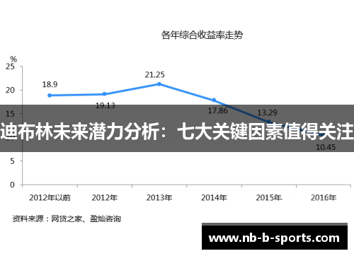 迪布林未来潜力分析：七大关键因素值得关注